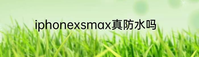iphonexsmax真防水吗