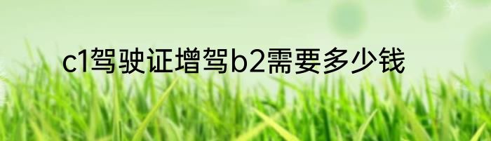 c1驾驶证增驾b2需要多少钱