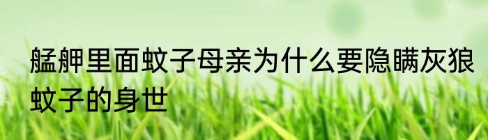 艋舺里面蚊子母亲为什么要隐瞒灰狼蚊子的身世