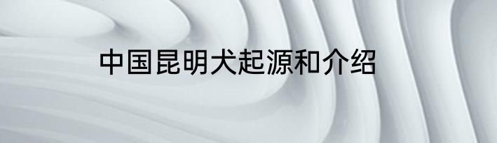 中国昆明犬起源和介绍