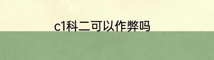 c1科二可以作弊吗