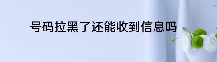 号码拉黑了还能收到信息吗