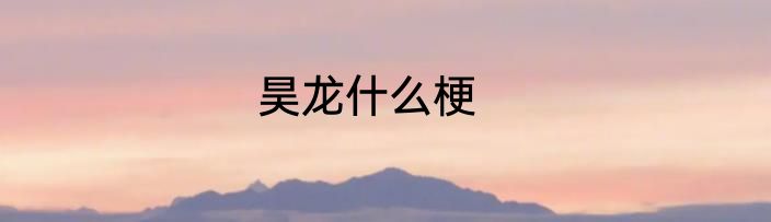 昊龙什么梗