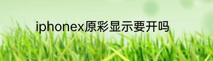 iphonex原彩显示要开吗