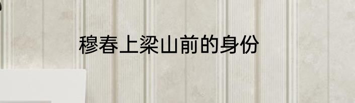 穆春上梁山前的身份
