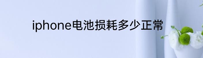 iphone电池损耗多少正常