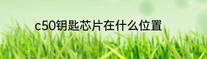 c50钥匙芯片在什么位置