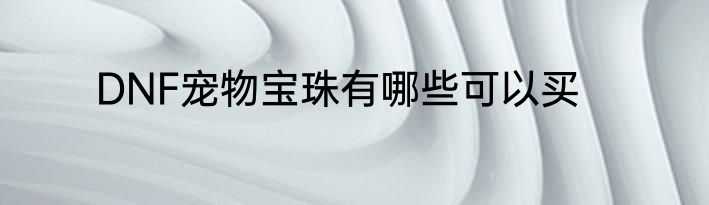 DNF宠物宝珠有哪些可以买
