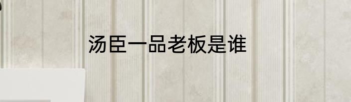 汤臣一品老板是谁