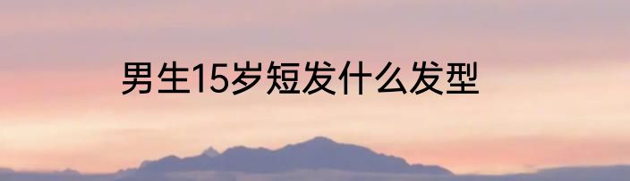 男生15岁短发什么发型