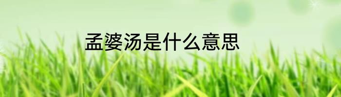 孟婆汤是什么意思