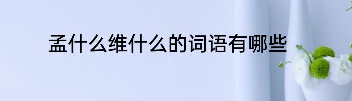 孟什么维什么的词语有哪些