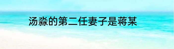 汤淼的第二任妻子是蒋某
