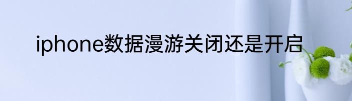 iphone数据漫游关闭还是开启