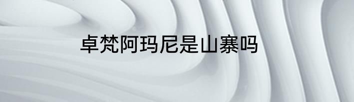 卓梵阿玛尼是山寨吗