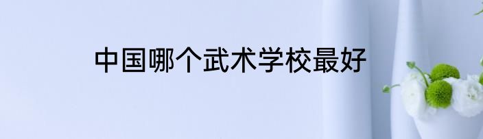 中国哪个武术学校最好