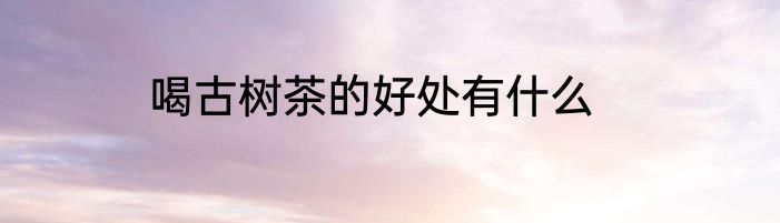 喝古树茶的好处有什么