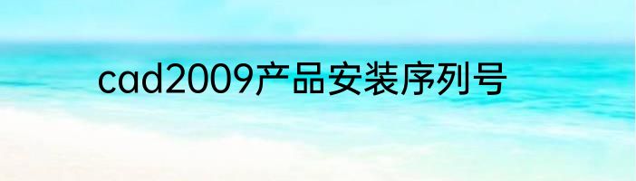 cad2009产品安装序列号