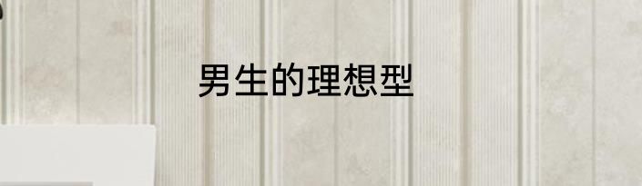 男生的理想型