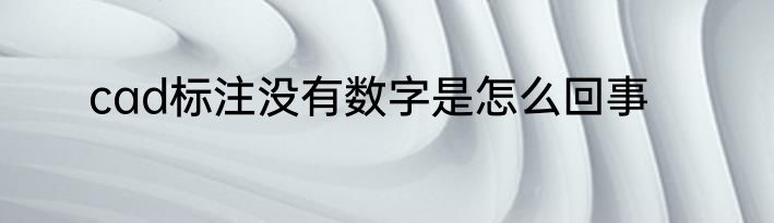 cad标注没有数字是怎么回事