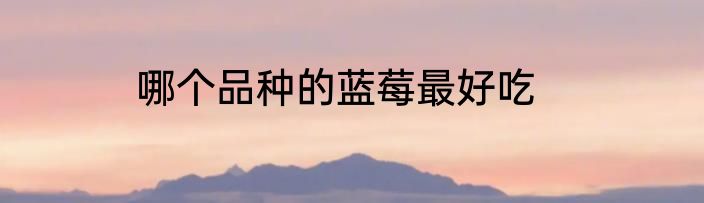 哪个品种的蓝莓最好吃