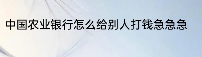 中国农业银行怎么给别人打钱急急急