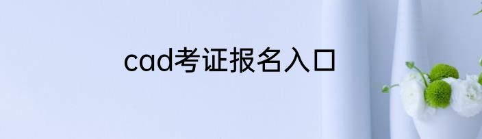 cad考证报名入口