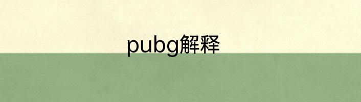 pubg解释