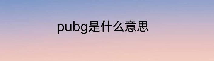 pubg是什么意思