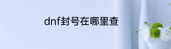 dnf封号在哪里查