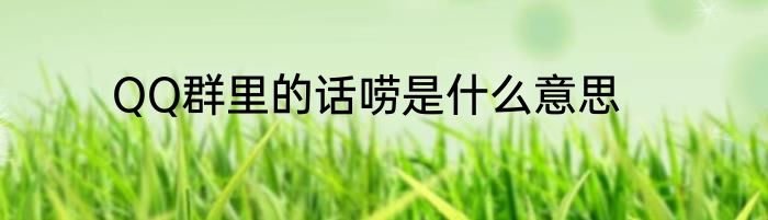 QQ群里的话唠是什么意思