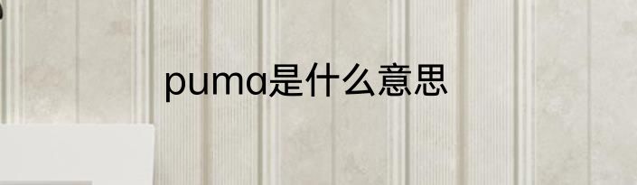 puma是什么意思