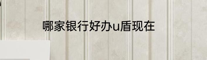哪家银行好办u盾现在