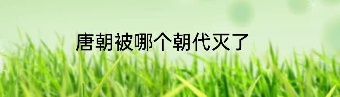 唐朝被哪个朝代灭了