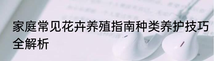 家庭常见花卉养殖指南种类养护技巧全解析