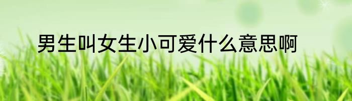男生叫女生小可爱什么意思啊