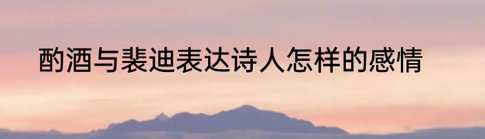 酌酒与裴迪表达诗人怎样的感情