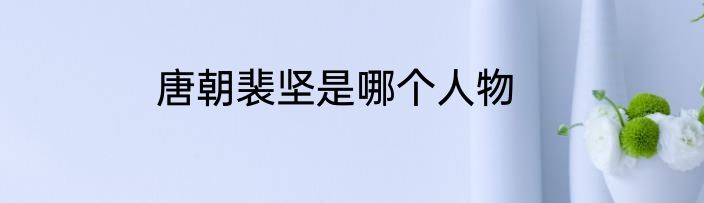 唐朝裴坚是哪个人物