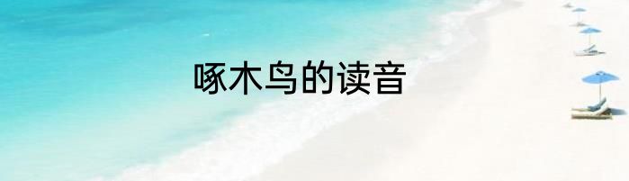 啄木鸟的读音