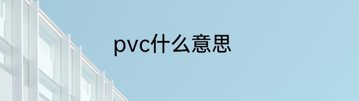 pvc什么意思