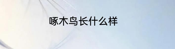 啄木鸟长什么样