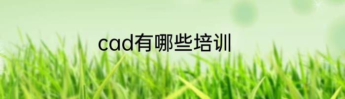 cad有哪些培训