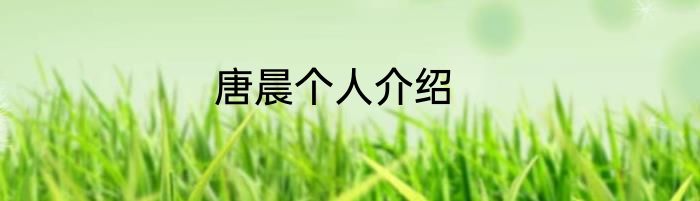 唐晨个人介绍