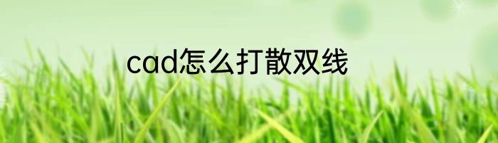cad怎么打散双线