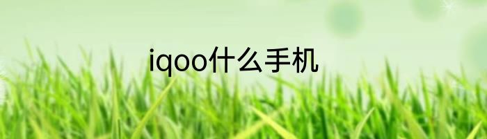 iqoo什么手机