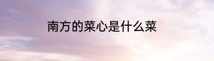 南方的菜心是什么菜