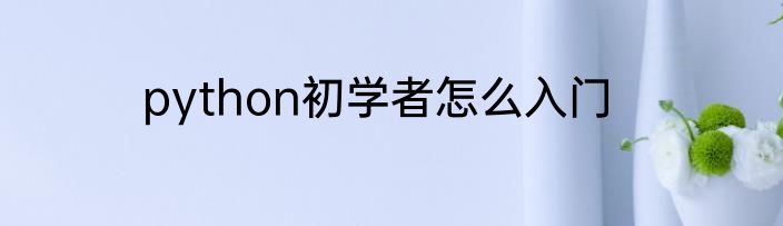 python初学者怎么入门