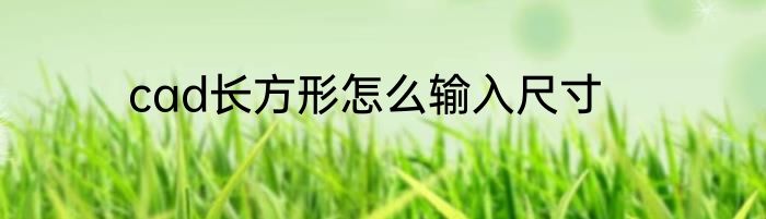 cad长方形怎么输入尺寸