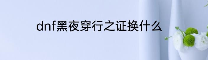 dnf黑夜穿行之证换什么