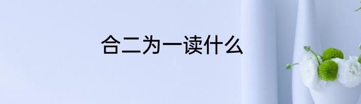 合二为一读什么